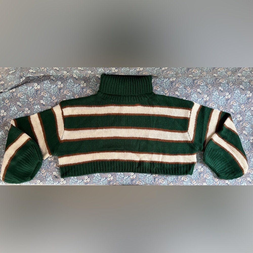 Cloud Ten Striped Green and Brown Cropped Turtleneck Sweater